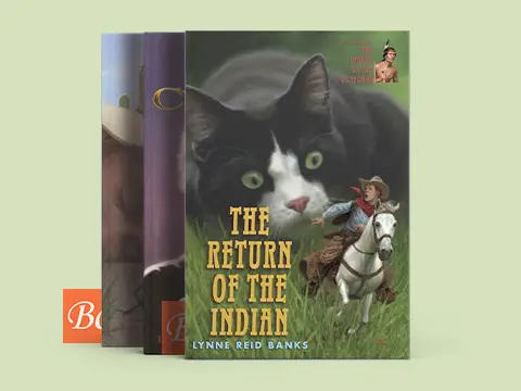 魔柜小奇兵 The Indian in the Cupboard