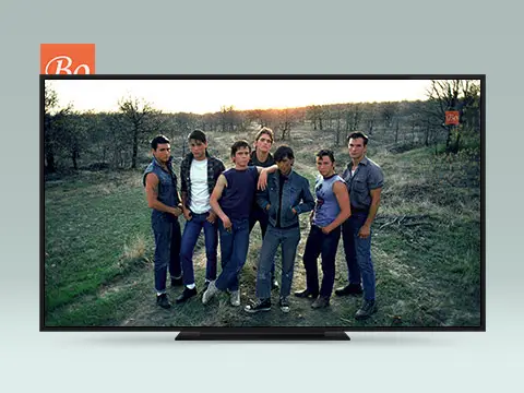 小教父 The Outsiders 电影(又译 追逐金色的少年)(1983)