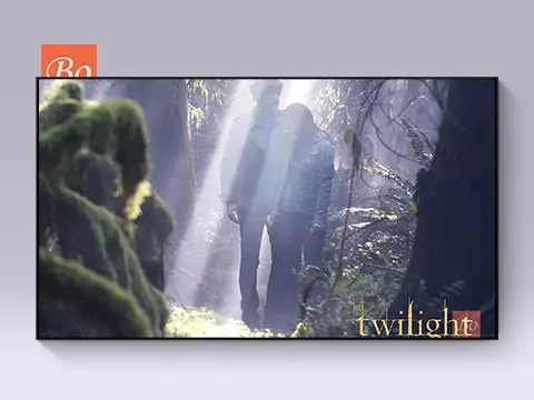 暮光之城 Twilight 电影 (2008)