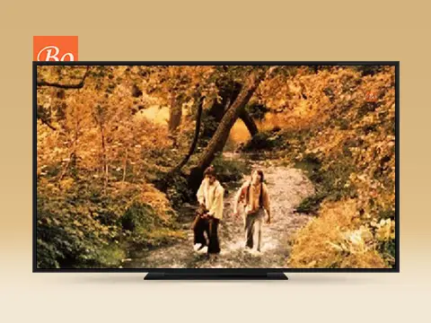 汤姆·索亚与哈克贝利·费恩 Tom Sawyer & Huckleberry Finn 电影 (2014)