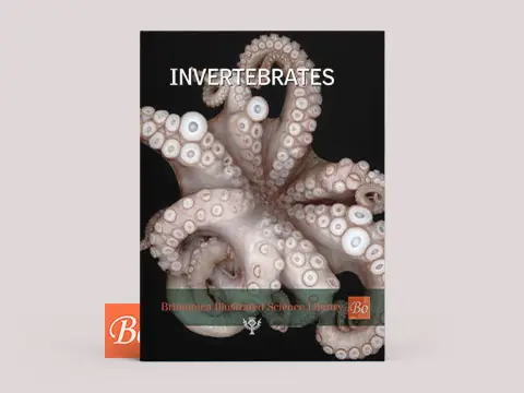 Britannica – Invertebrates