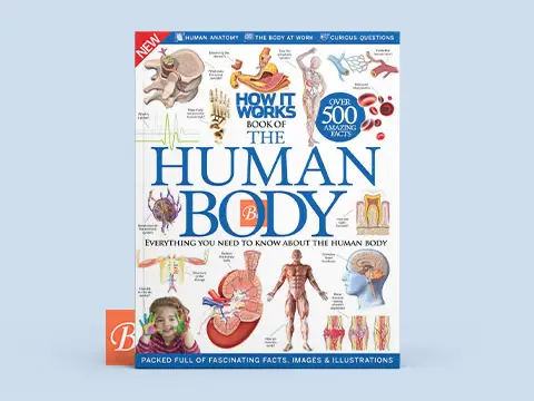How It Works – Book of the Human Body 6th Edition (2016)