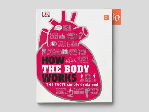 How the Body Works by Editors