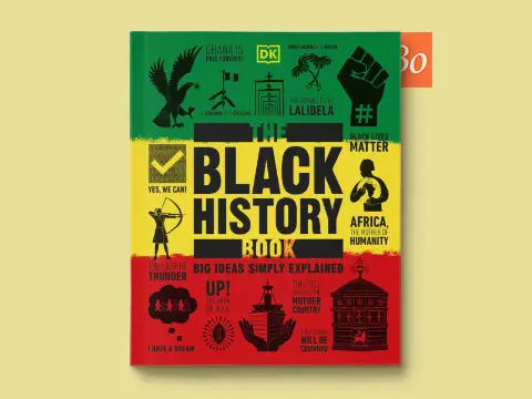 The Black History Book Big Ideas Simply Explained